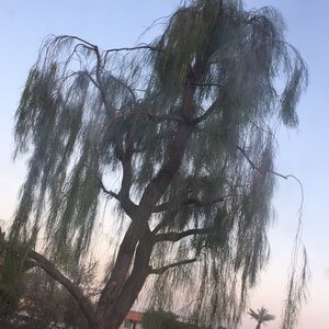 Meet your Posher, Timothy